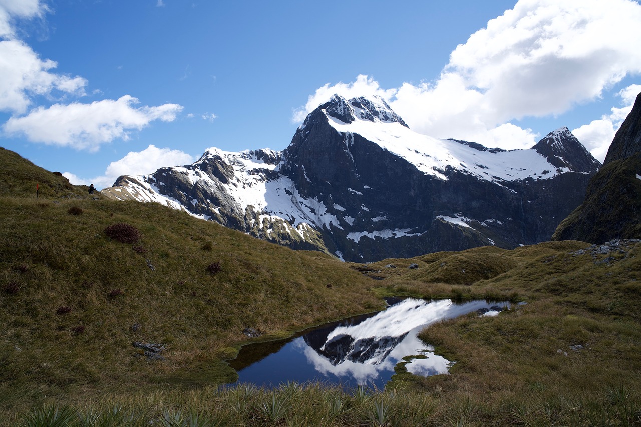 Milford Sound to Te Anau (One Way, Off Season) Bus Transfer
