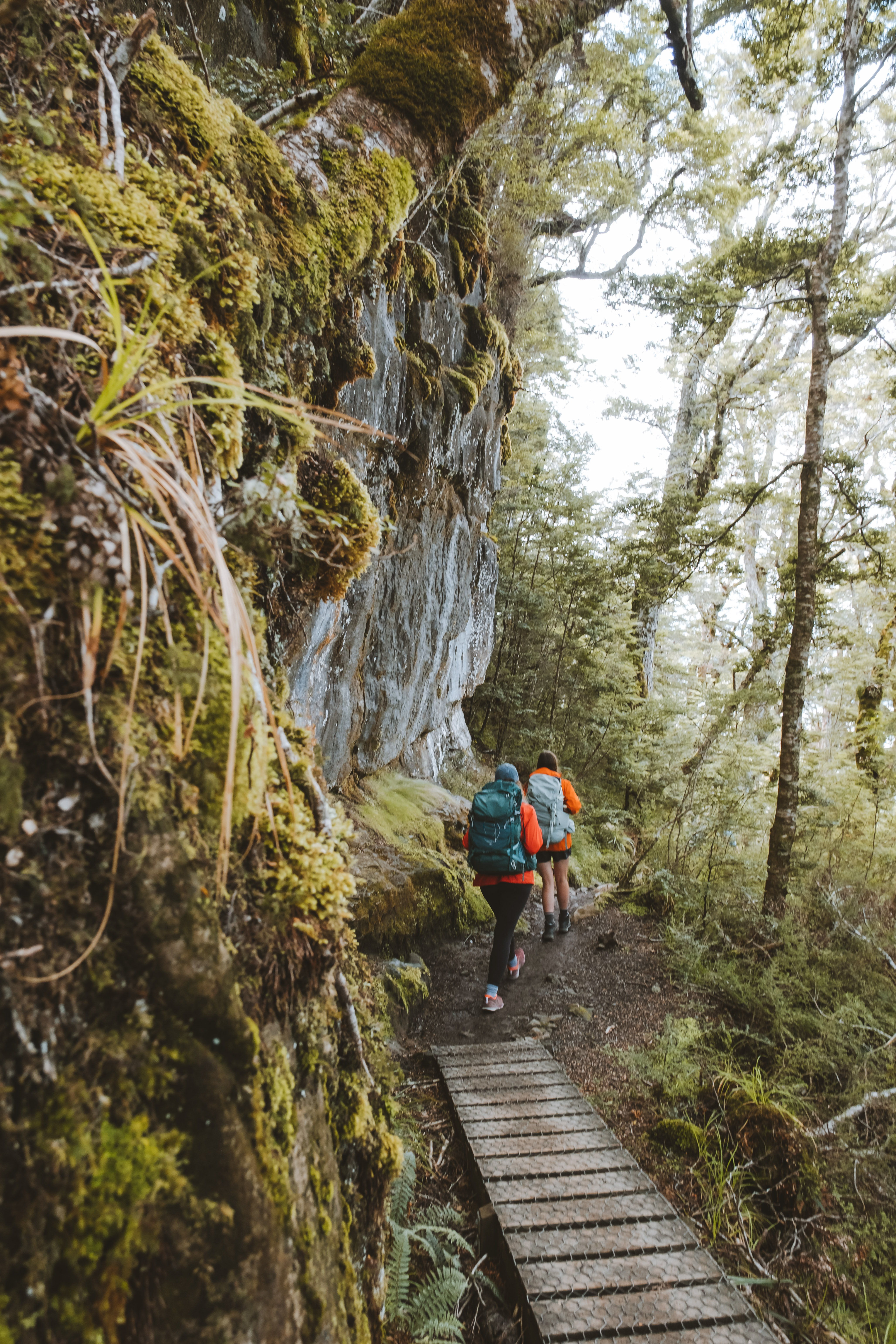Kepler Track Day Walks