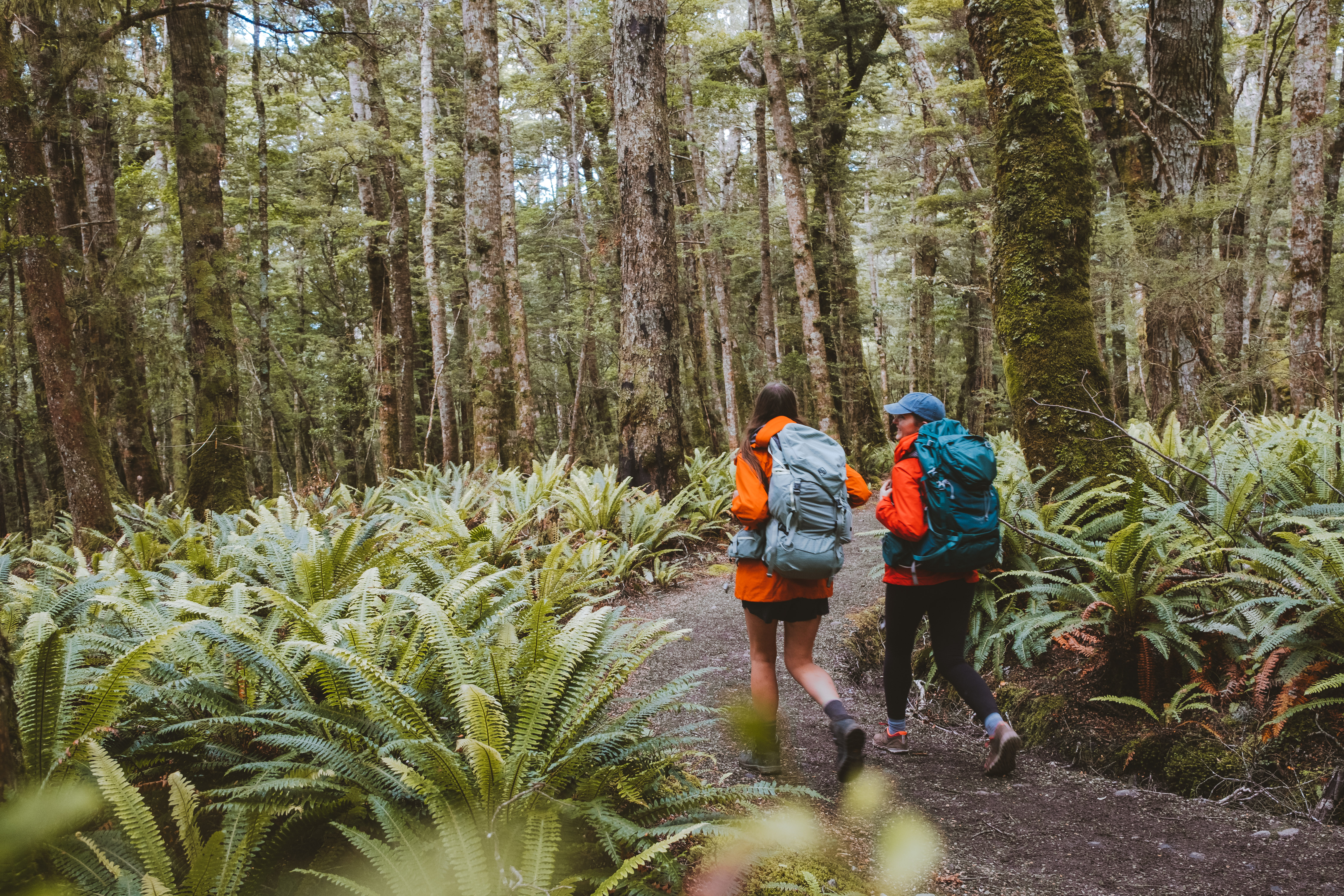 Kepler Track Day Walks