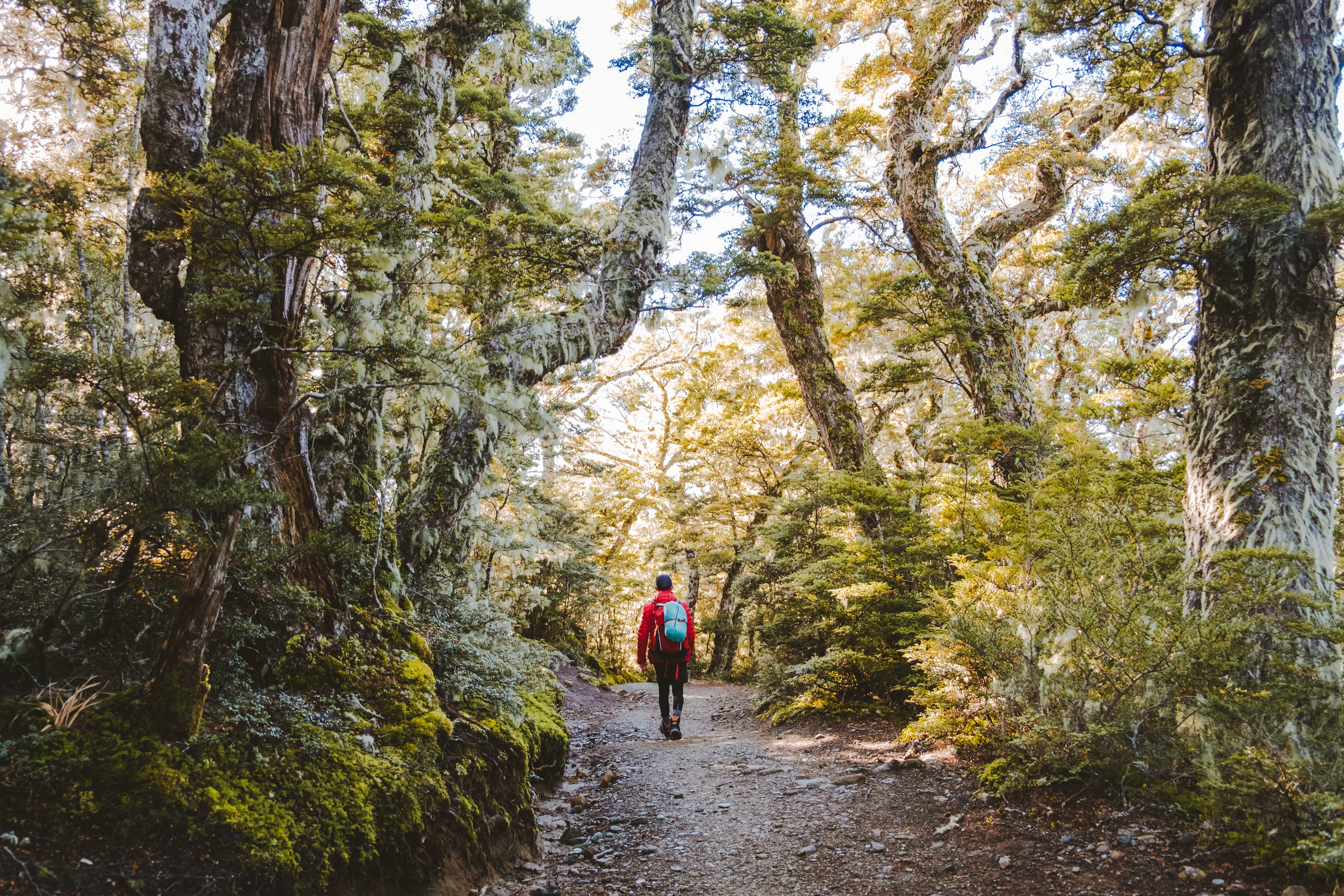 Kepler Track Day Walks