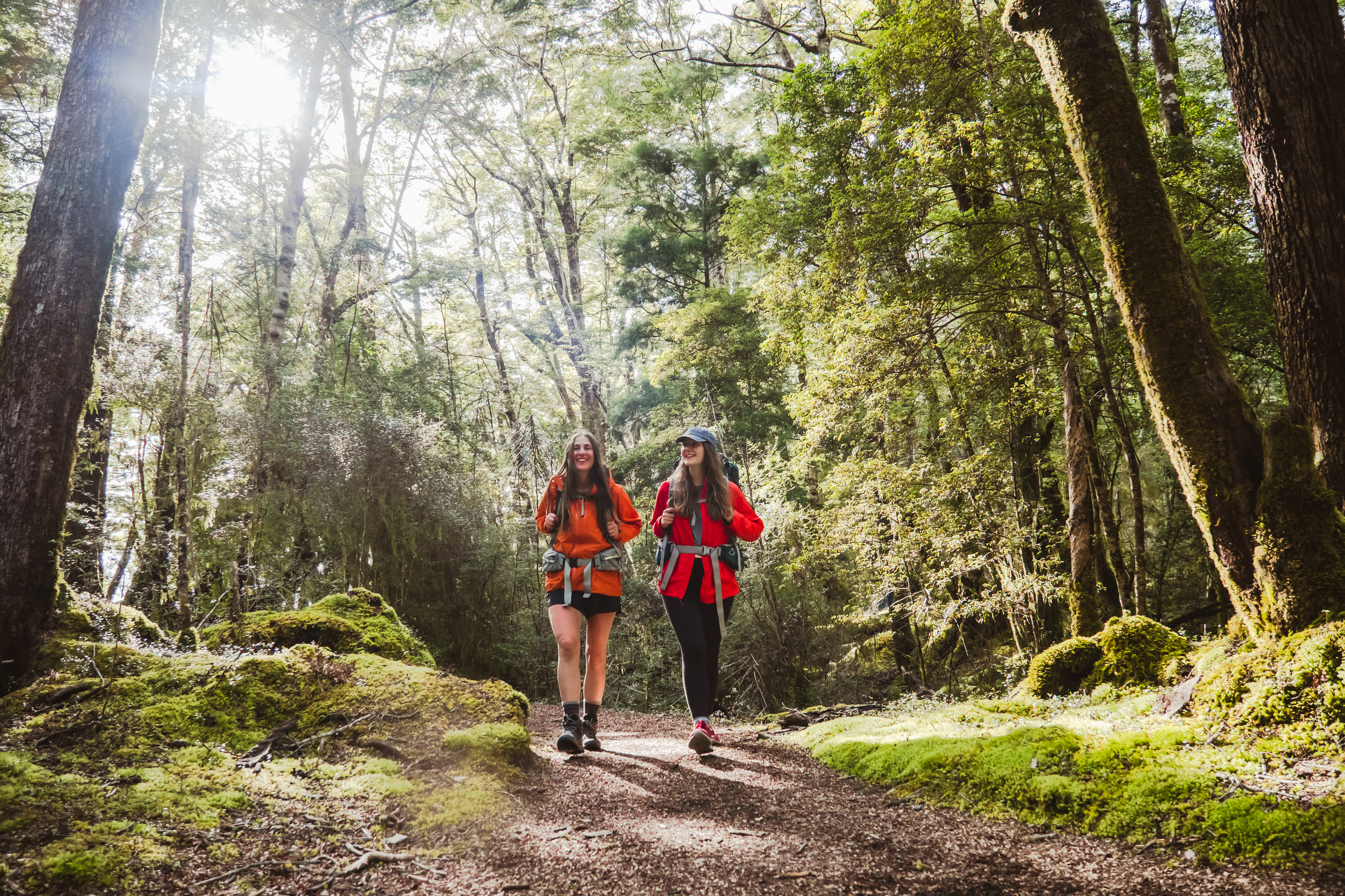 Kepler Track Day Walks 