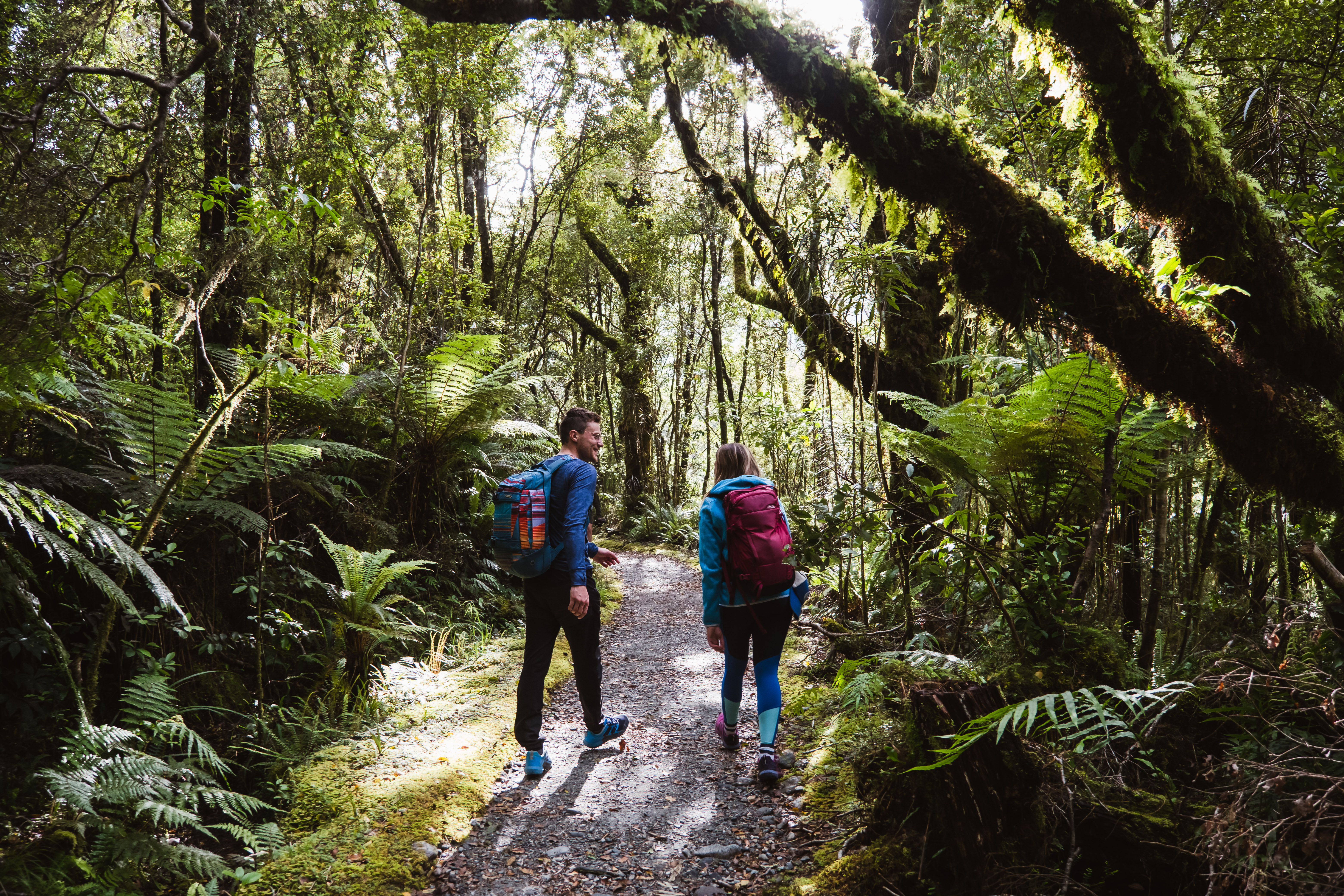 Milford Track Day Walk - Milford Sound End