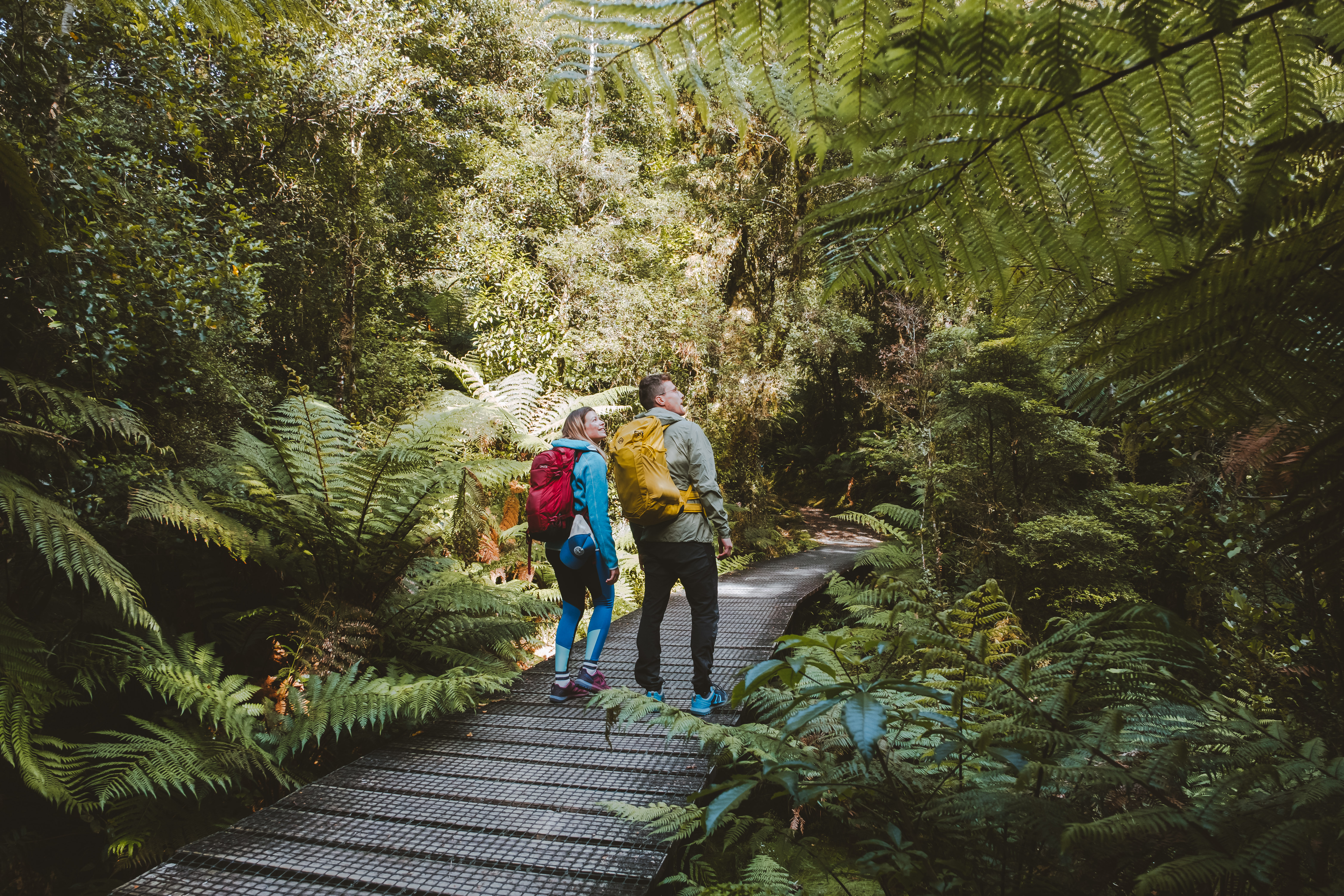 Milford Track Day Walk - Milford Sound End (