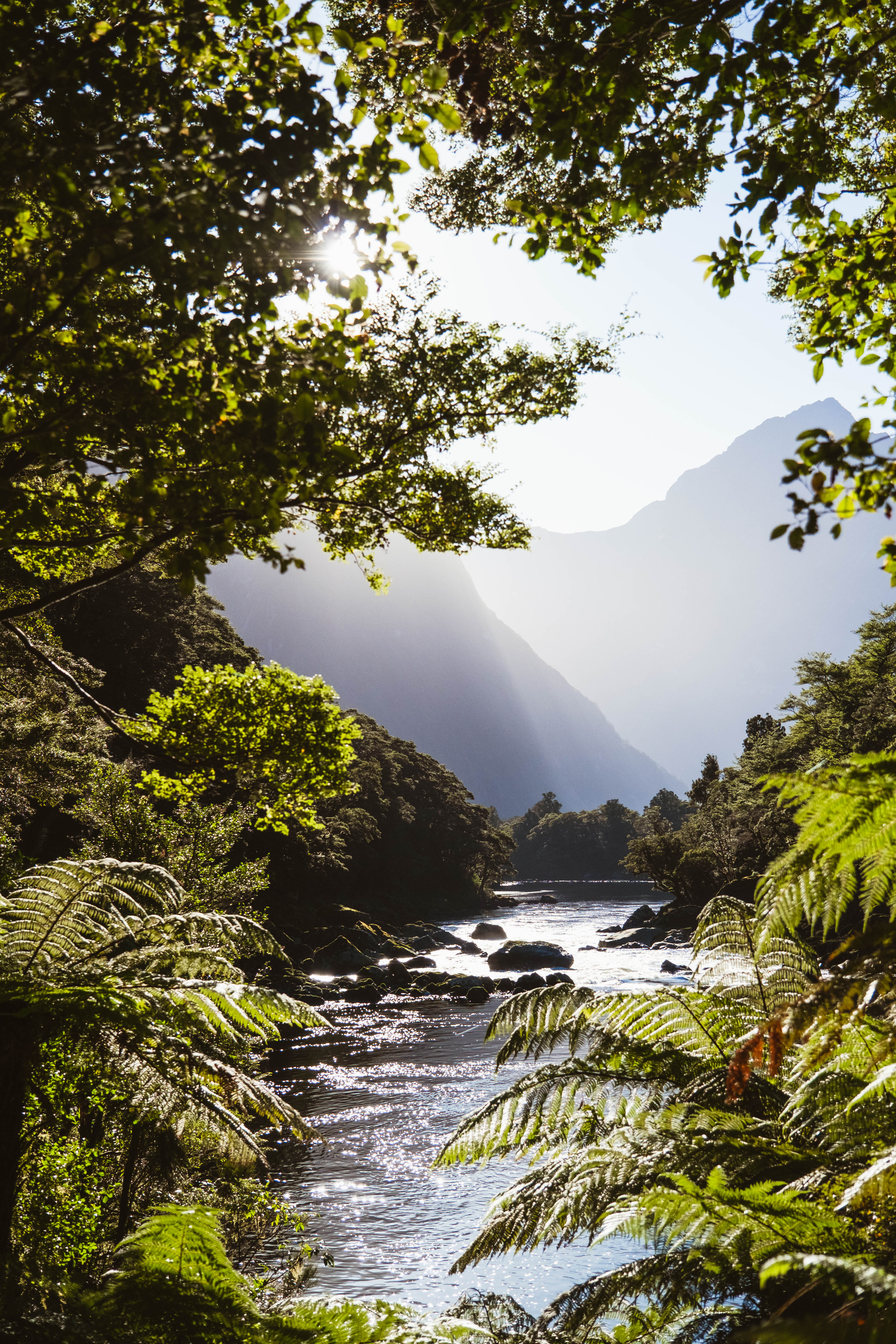 Milford Track Day Walk - Milford Sound End