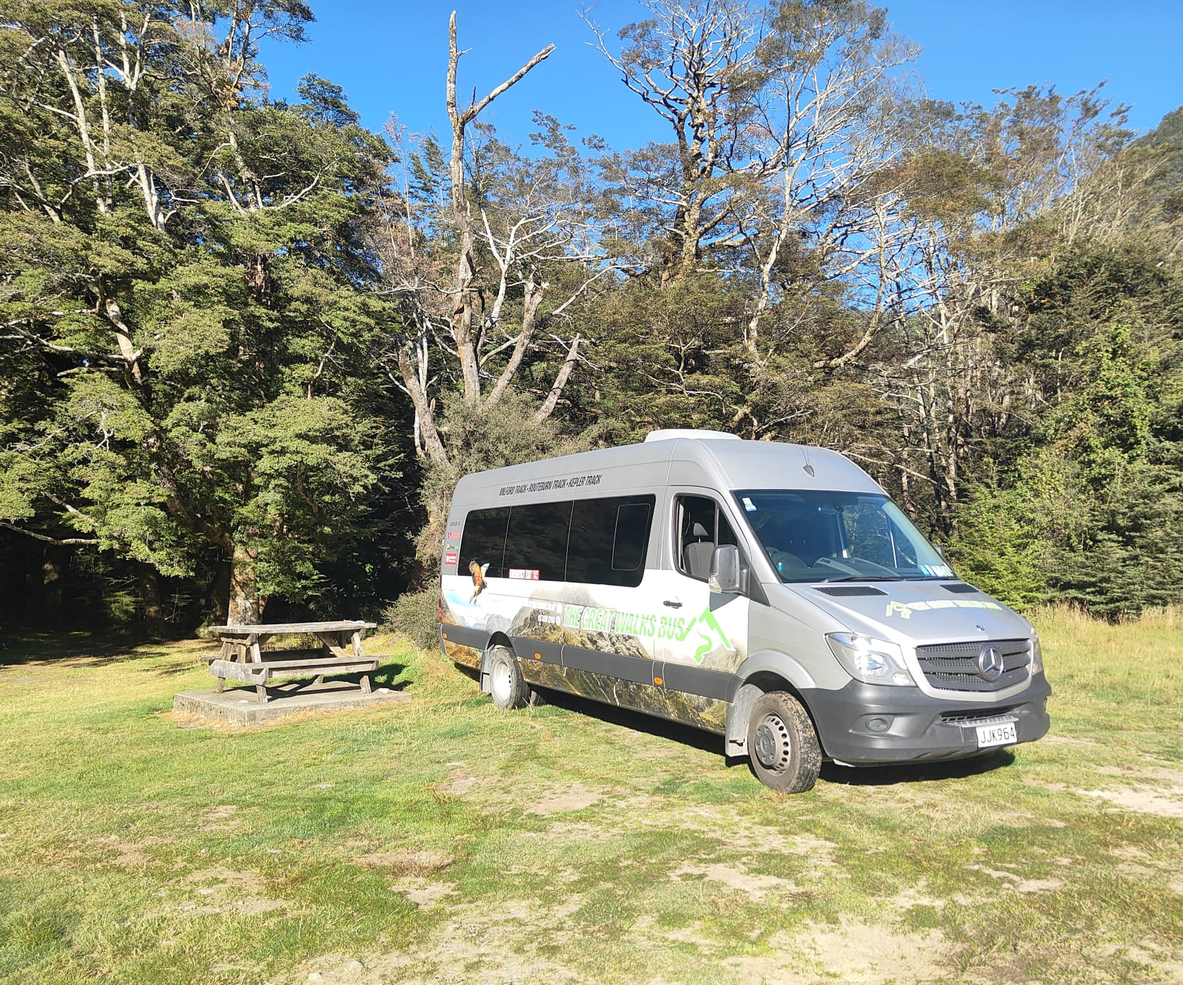 Picnic Area